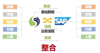 SAP與致遠互聯強強聯手，以技術融合驅動全球企業組織管理升級