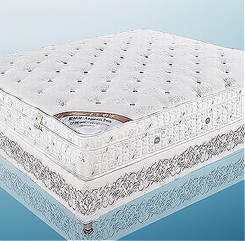 金可兒床墊技術推廣合作指南 上海市場的準入條件與核心要求